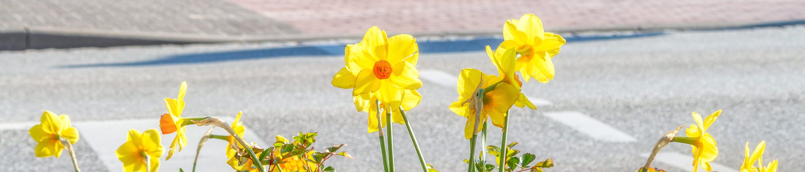 Ostern in Boltenhagen