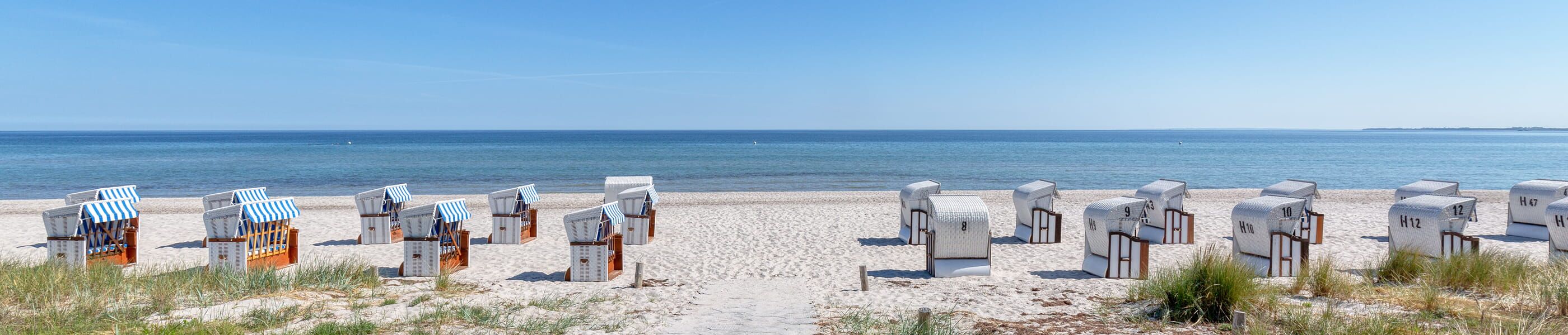 Strandkörbe in Reihen am sonnigen Ostseestrand