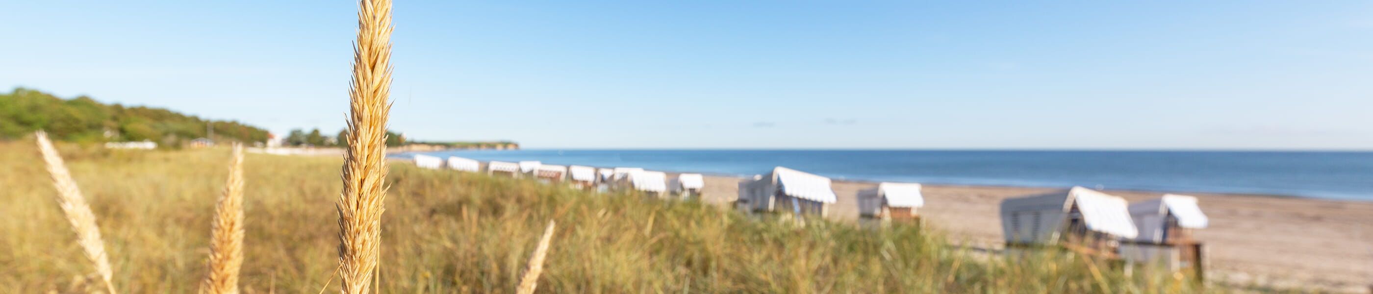 Dünenlandschaft mit Strandkörben und Meer im Hintergrund